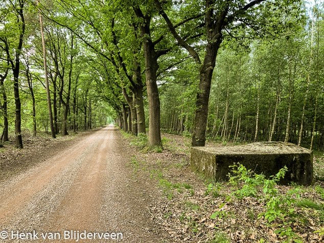 Prinsendijk