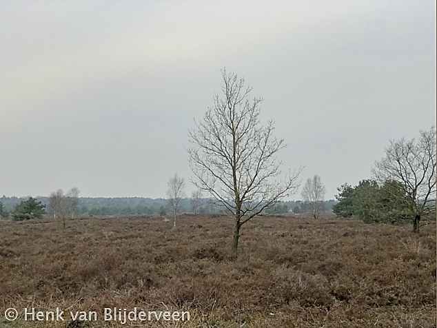 Nationaal Park de Sallandse Heuvelrug