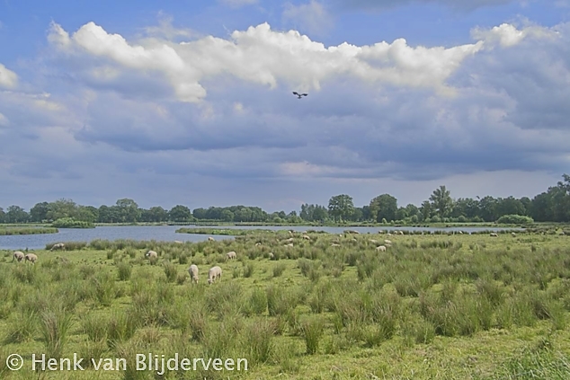 Retentiegebied Dakhorst