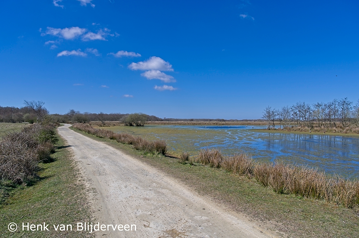 Binnenduinen van Schouwen