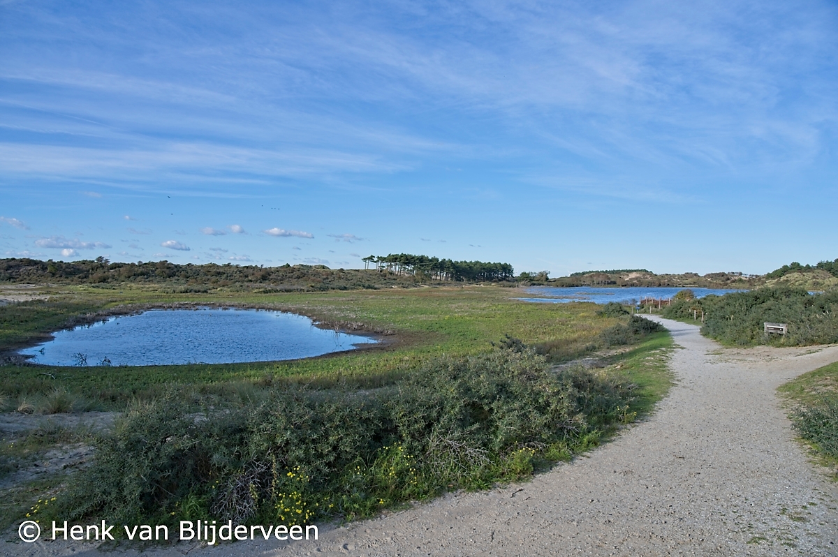 Het Vogelmeer in de Kennemerduinen