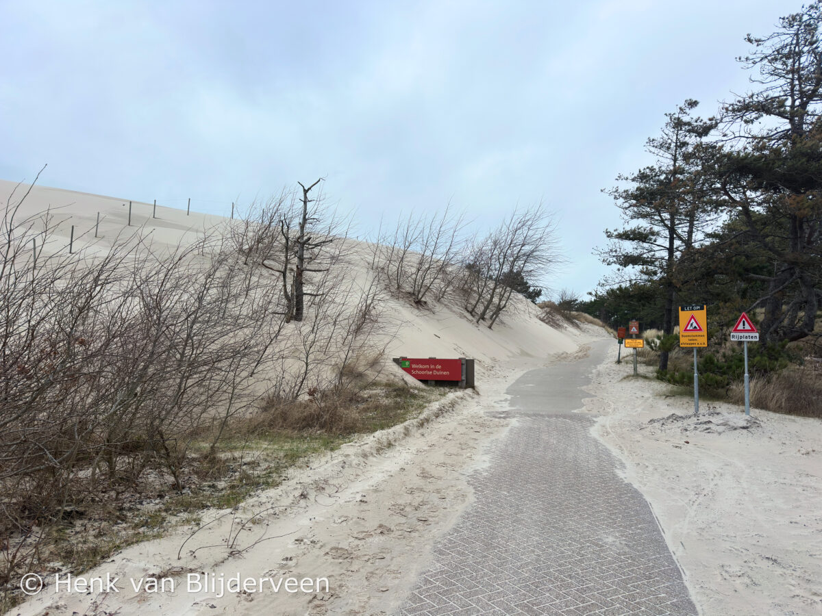 Schoorlse Duinen
